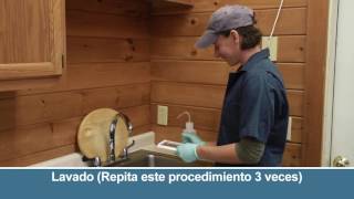 IDEXX Rapid Visual Pregnancy Test Training in Spanish [upl. by Swope]