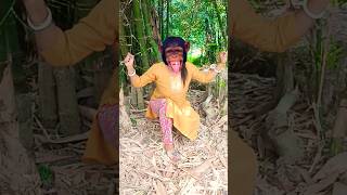 Monkey 🐒🐒🐒viralshort monkey entertainmentr trending shortvideos youtubeshorts funny [upl. by Steady742]