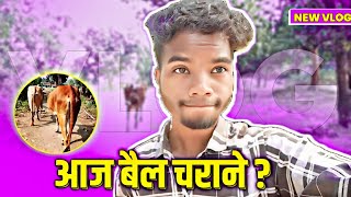 Aaj Bail Charane 😜 😜  Vlogging By Ramu Sonpakar Vlogs  New Vlogs [upl. by Alik873]