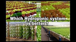 Hydroponics Which system is better [upl. by Ardy]