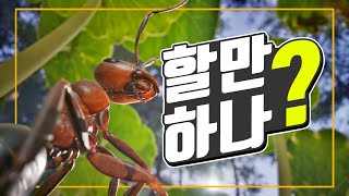 간단 플레이 후기  베르나르 베르베르의 개미  그래서 할만함 [upl. by Eramat]