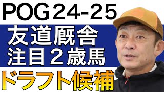 【POG24−25】友道厩舎の注目２歳馬をリストアップ！！【栗東の名門！！／ドラフト検討向け】 [upl. by Nevad]