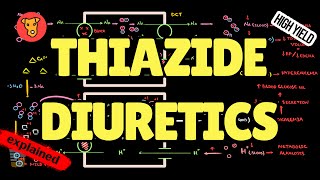 THIAZIDES DIURETICS Mechanism of action Side effect Pharmacology USMLE [upl. by Jacobson]