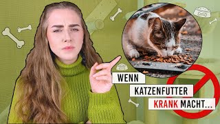 Wenn Katzenfutter krank macht  Wie wie füttert man Katzen richtig  Katzentipps Futter  Amely Rose [upl. by Gerstein]