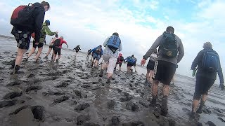 Wadlopen bij ondergaande zon Lauwersoog  Schiermonnikoog [upl. by Stesha840]