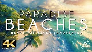 PARADISE BEACHES IN 4K DRONE FOOTAGE ULTRA HD  Beautiful Beach Landscapes Footage UHD [upl. by Middlesworth]