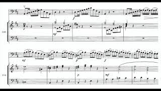 Capuzzi  Double Bass Concerto in D 1st Mov piano accompaniment [upl. by Aitercal20]