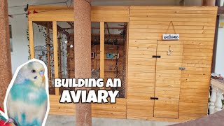 Building an Outdoor Aviary in 6 Days [upl. by Ruhnke]