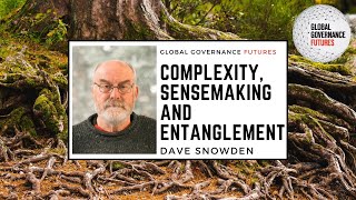 Dave Snowden  Complexity Sensemaking and Entanglement [upl. by Ayatal]