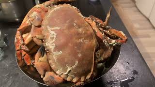 🦀 Cua đá của Thụy Điển chia sẻ ăn với nước chấm ghiền luôn 😋 [upl. by Helfand]