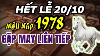 Tử Vi Mậu Ngọ 1978 Hết Ngày Phụ Nữ Việt Nam 2010 May Mắn Ngập Tràn – Đỉnh Cao Phú Quý Đợi Chờ [upl. by Aleahcim259]