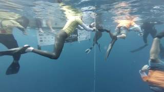 New freediving world record 92 meters Free Immersion by Jeanine Grasmeijer full length video [upl. by Spearing]