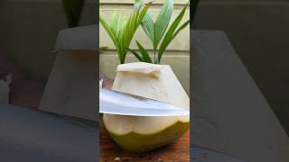 Big brown coconut satisfying cutting shortvideo 🌴🌴🌴🌴brown coconut [upl. by Negrom]