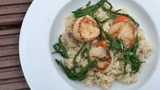 Risotto with seared scallops and samphire Cooking Video [upl. by Frances188]