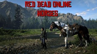 RDO Horse Video Revisited in 2023 [upl. by Derriey774]