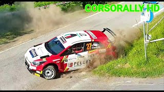 15° Rally di Alba 2021 Show Crash and Mistakes [upl. by Ayahsal217]