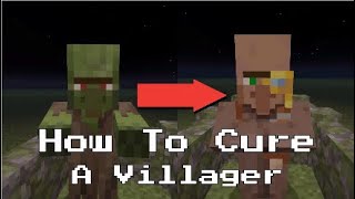 How to cure Zombie Villagers and change their jobs in Minecraft  Village and pillage update [upl. by Minsk]