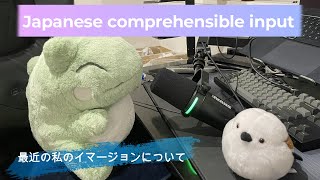 Japanese comprehensible input 12  最近の私のイマージョンについて [upl. by Kelda]