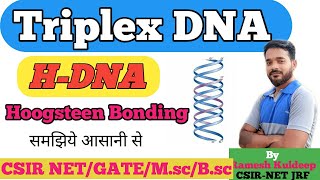 Tripex DNA  Triple DNA  H DNA Triple Helix DNA CSIR NET Life Sciences  Unique Life Sciences [upl. by Archie856]