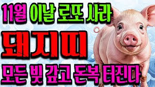 11월 돼지띠 돈벼락 맞는다ㅣ47년생 59년생 71년생 83년생 95년생ㅣ돼지띠운세ㅣ11월운세 [upl. by Uriisa598]