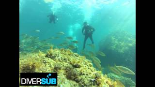 DISCOVER SCUBA DIVING AT PALAMÓS [upl. by Eittod]