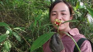 Harvesting agricultural products building farms cooking making daily living 3 [upl. by Tiphany]