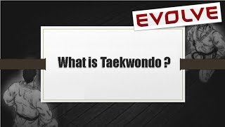 What is Taekwondo  Brief History of Taekwondo Hindi Audio [upl. by Enelegna742]