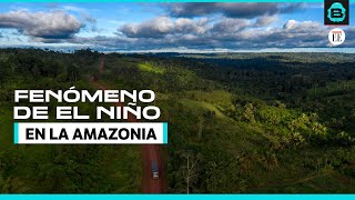 El inusual comportamiento del clima de la Amazonia colombiana en medio de El Niño  El Espectador [upl. by Ard]