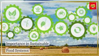 What is the Importance of Agroecology in Sustainable Food Systems [upl. by Miharbi]