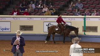 2023 AQHA World Championship Show Open Working Western Rail [upl. by Elenore452]