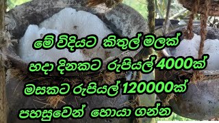 කිතුල් මල් බෙහෙත් kithul mal beheth how to make a kithul flower  Moni Tilan👍👍👍 [upl. by Stetson]