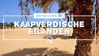 Kaapverdische Eilanden  SNP [upl. by Ahsat]