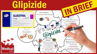 Glipizide dosage and side effects [upl. by Kcirdef]