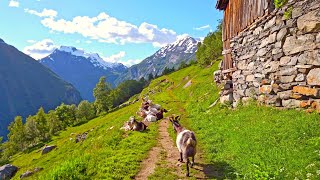 Walking around Geiranger most beautiful Village of Norway [upl. by Nellda156]