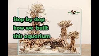 DIY step by step detail how we build bonsai driftwood set up  DIY Aquarium using Driftwoods [upl. by Shrier]