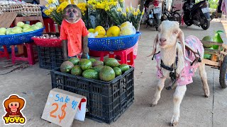 YoYo JR takes the goat to harvest vegetables and goes market sell  full version [upl. by Wixted701]