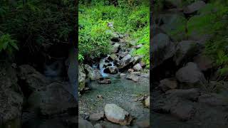 পাহাড় ঝর্ণা শান্তির আবেগ… relaxing relaxingmusic nature [upl. by Gnni]