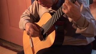 Giuseppe Verdi Va pensiero Guitar Transcription Ganesh Del Vescovo [upl. by Shawn]