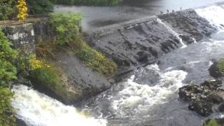 Linton Falls near Grassington Yorkshire [upl. by Ahse]