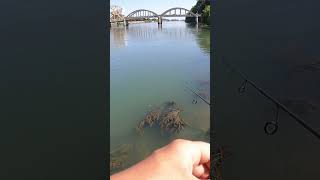 Fishing in isleton bassfishing bayareafishing largemouthbass lovefishing rapalafishing [upl. by Hilton]