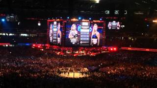 UFC 193 Rousey vs Holm  Walkouts amp Ring Announcements [upl. by Ryhpez]