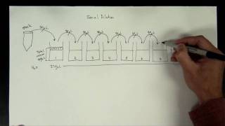 Concentrations Part 5  serial dilution [upl. by Welch]