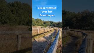 Drenthepad leuke weetjes over de oudste langeafstandswandeling in Nederland wandelvakantie [upl. by Hercules]