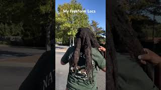 My FreeForm Locs freeformlocs freeform youtubeshorts fyp locs [upl. by Ahseyk]