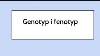 Genotyp i fenotyp [upl. by Sackey301]