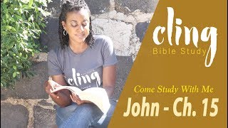 CLING  John  Ch 15  Come Study With Me [upl. by Youngran]