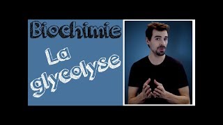 Cours de biochimie Glycolyse [upl. by Hnamik864]