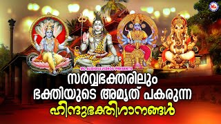 സർവ്വഭക്തരിലും ഭക്തിയുടെ അമൃത് പകരുന്ന ഹിന്ദുഭക്തിഗാനങ്ങൾ  Hindu Devotional Songs Malayalam [upl. by Xer]