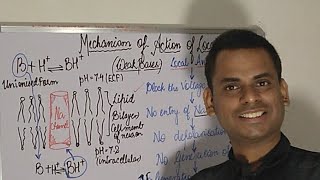 Local Anaesthetics  Mechanism Of Action [upl. by Olonam]