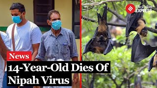 Nipah Virus 14YearOld Boy From Kerala Dies Of Nipah Virus Health Officials On High Alert [upl. by Akimrej]